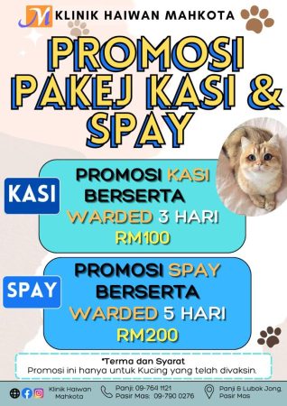 WhatsApp Image 2023-09-11 at 12.35.46