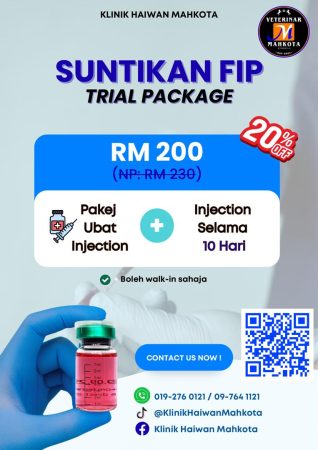 WhatsApp Image 2025-10-29 at 15.15.49_93b1ed29