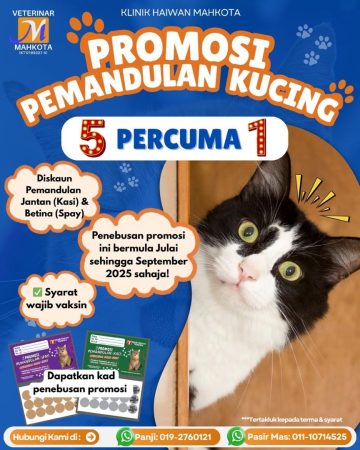 WhatsApp Image 2025-10-29 at 15.15.50_9d8097a6